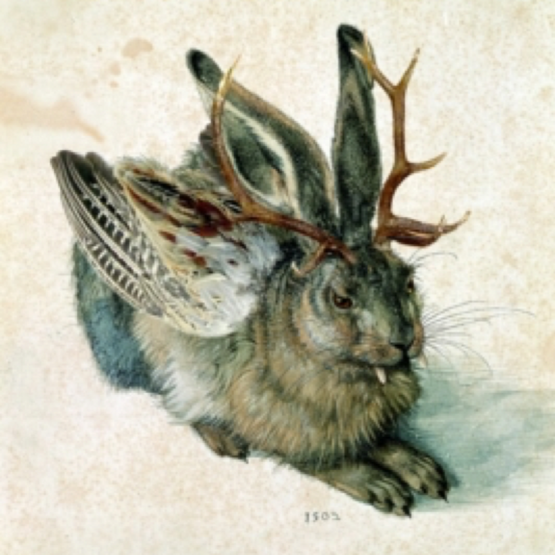 Der Wolpertinger frei nach Dürer